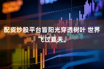 配资炒股平台皆阳光穿透树叶 世界飞过夏天。